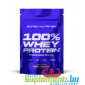 SCITEC NUTRITION 100% WHEY PROTEIN (1 KG)
