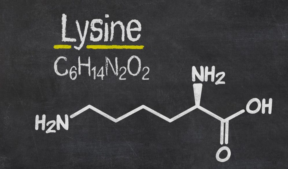 Lysine (Lizin): Čudo koje liječi!